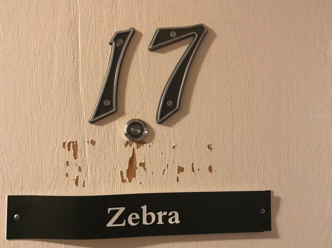 Safari Inn Motel主图