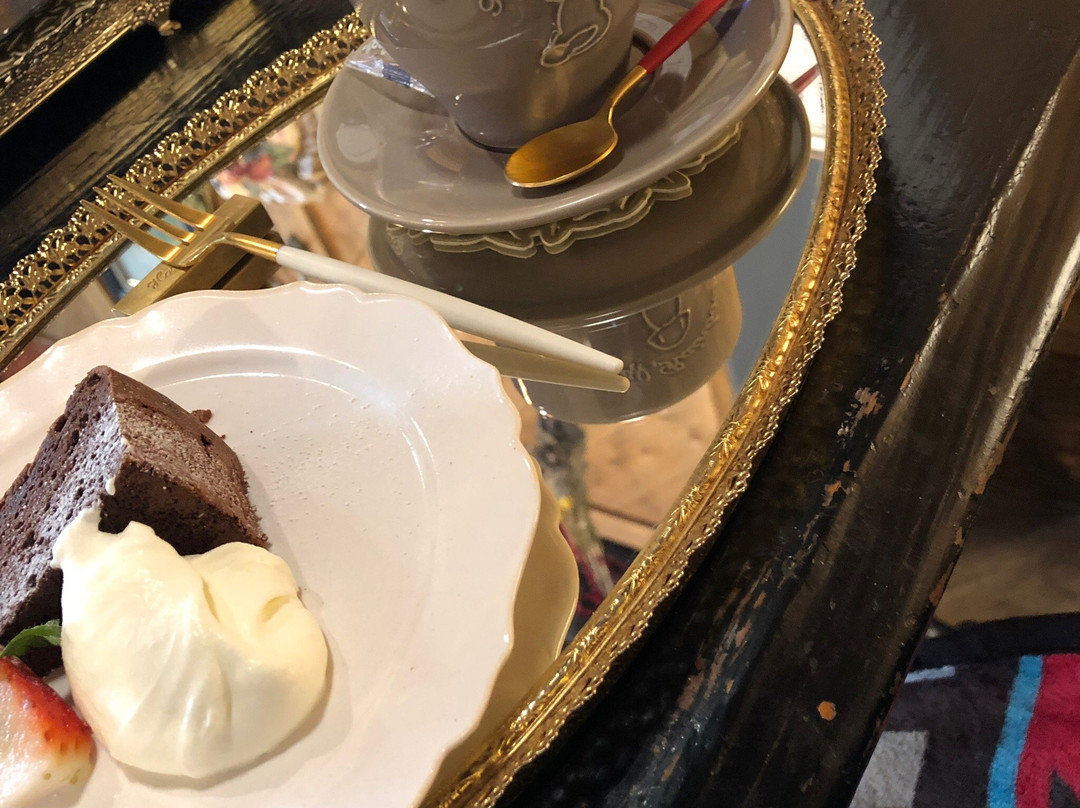 トワレインボープラス