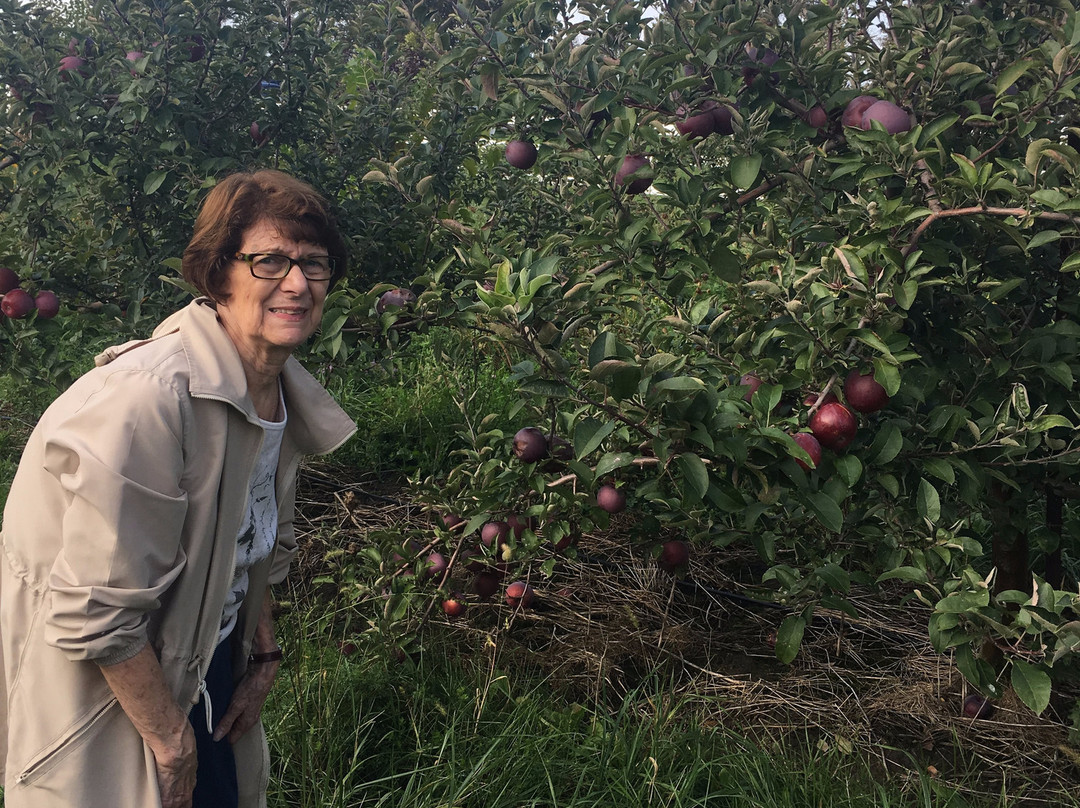 Wagner Orchards & Estate Winery-Lakeshore必去景点