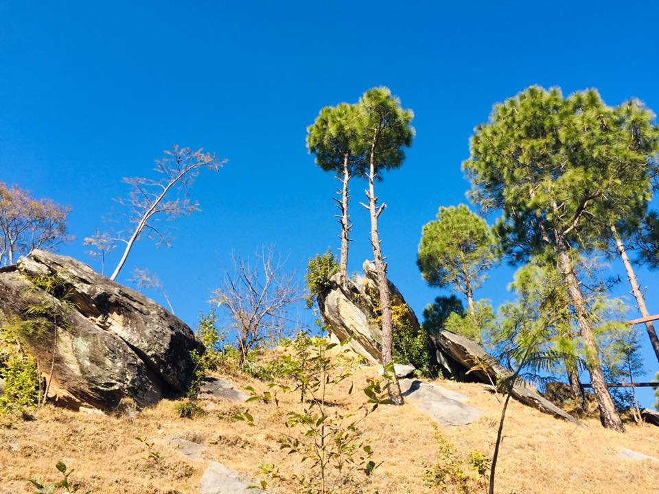 Seed At Queens Meadows, Ranikhet主图