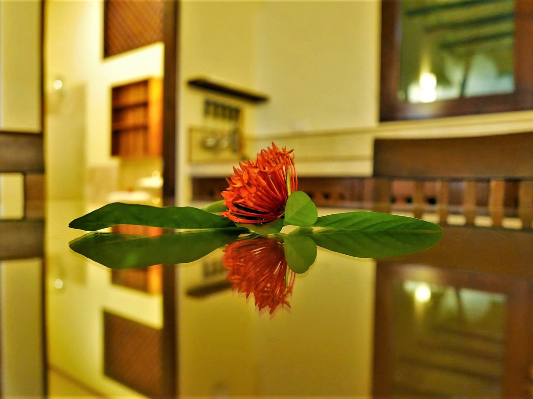 Hotel Palma De Oro主图