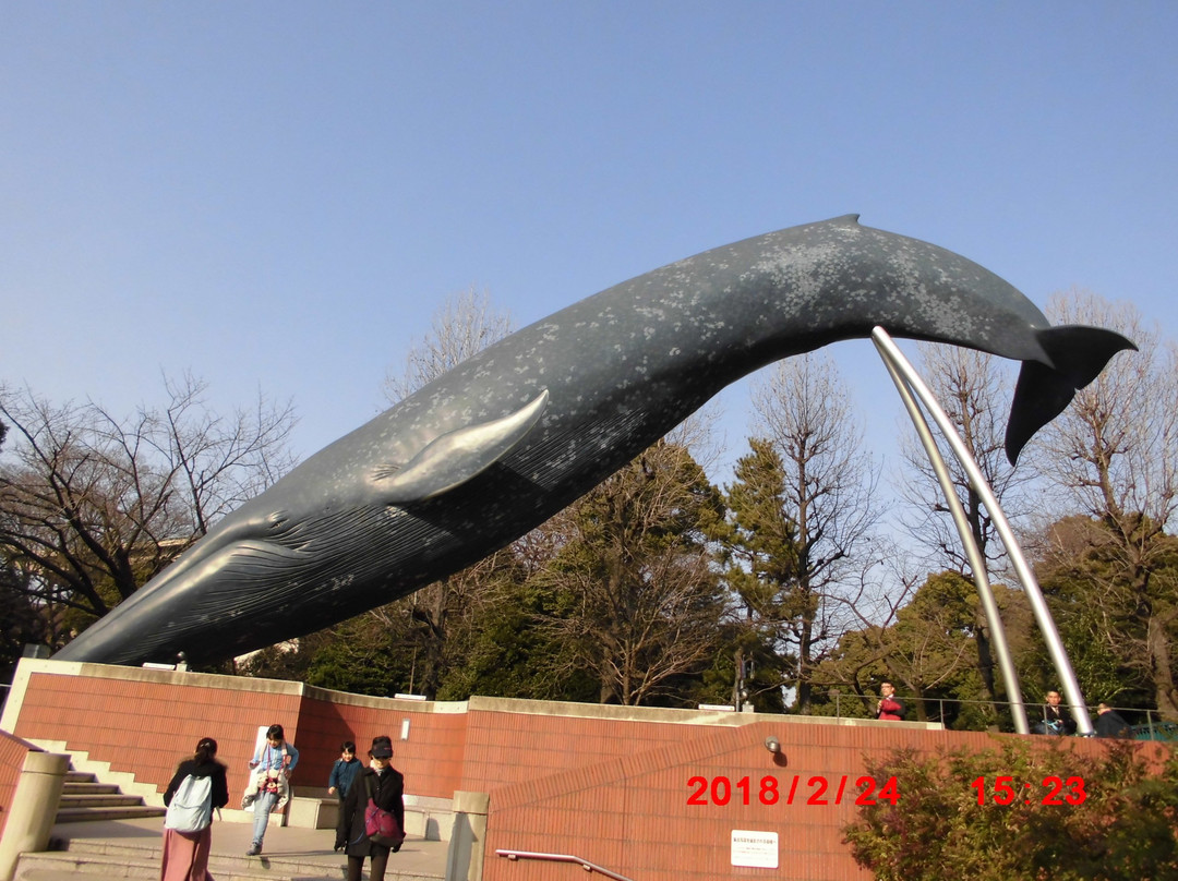 Blue Whale Full Size Model-Uenokoen必去景点