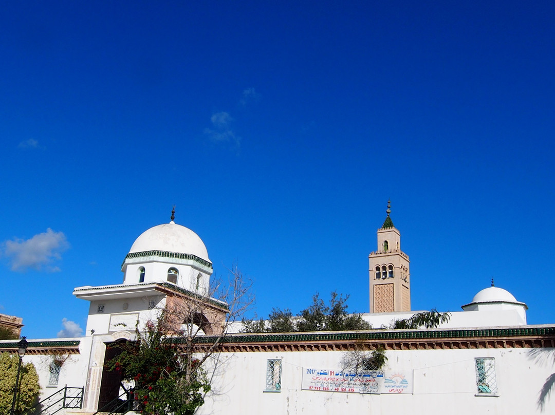 Mosquée El-Ahmadi景点图片