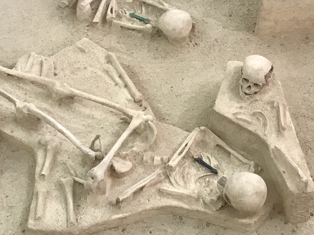 Cementerio aborigen de Chorro de Maita-Banes必去景点