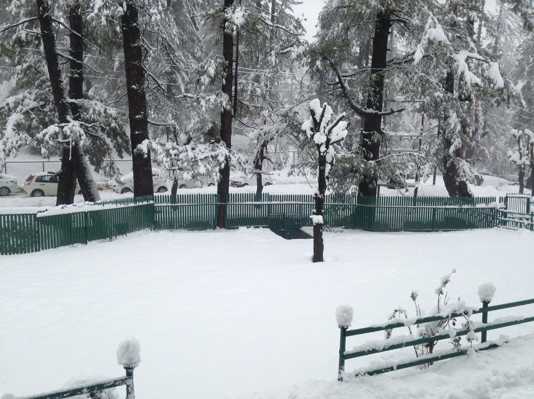 Hotel Gulmarg House主图