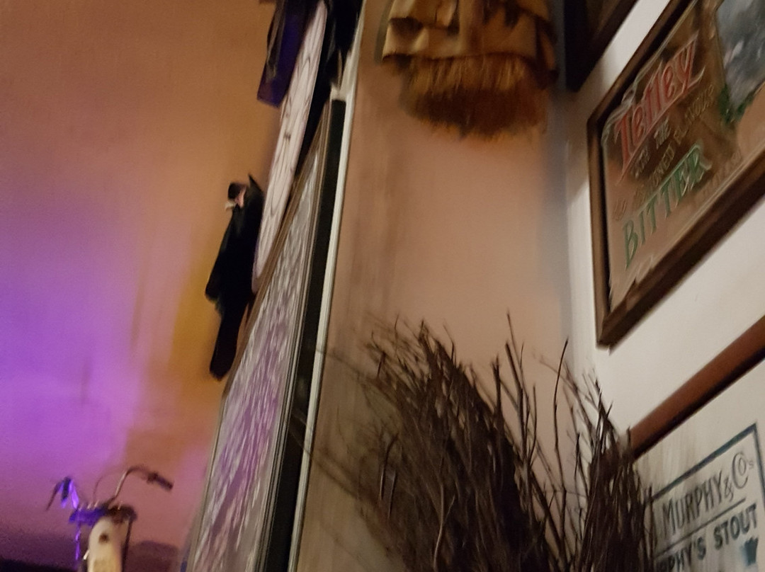 The Wicked Irish Pub-Vlissingen必去景点