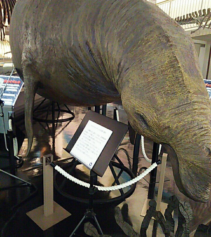 Takikawa Museum of Art and Natural History-泷川市必去景点