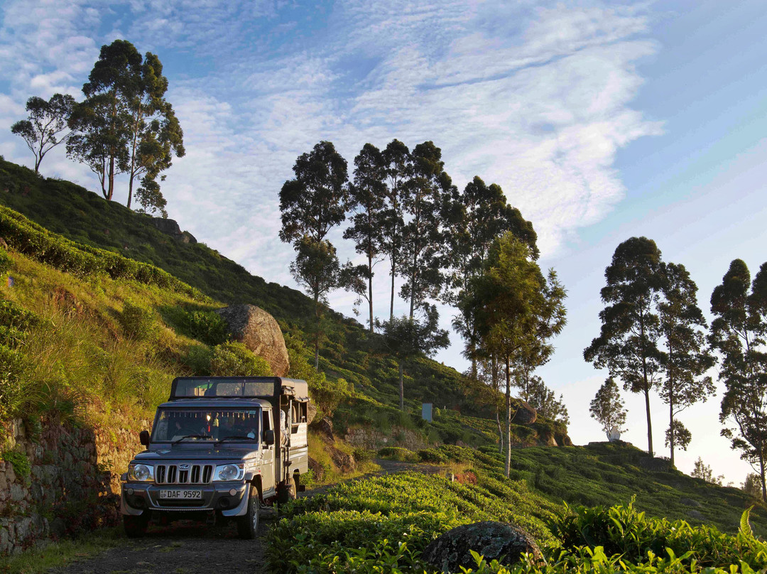 Haputale Mountain Tours-哈普特莱必去景点