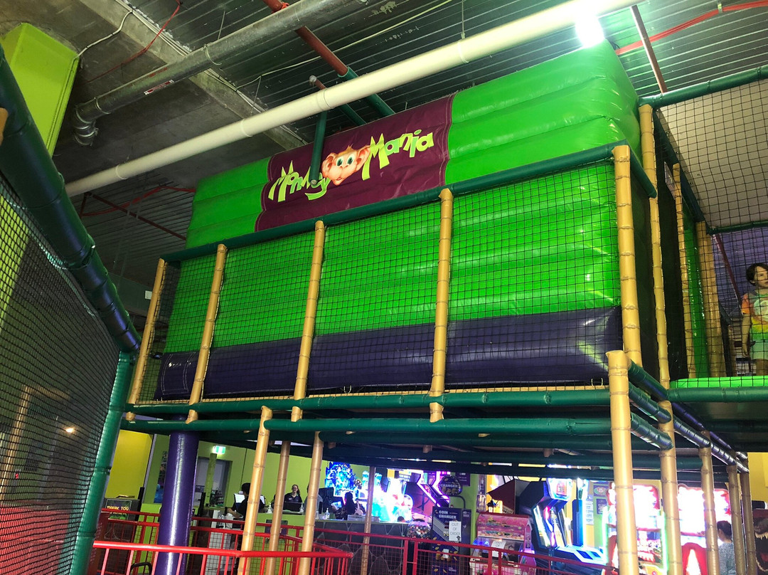 Monkey Mania Top Ryde景点图片