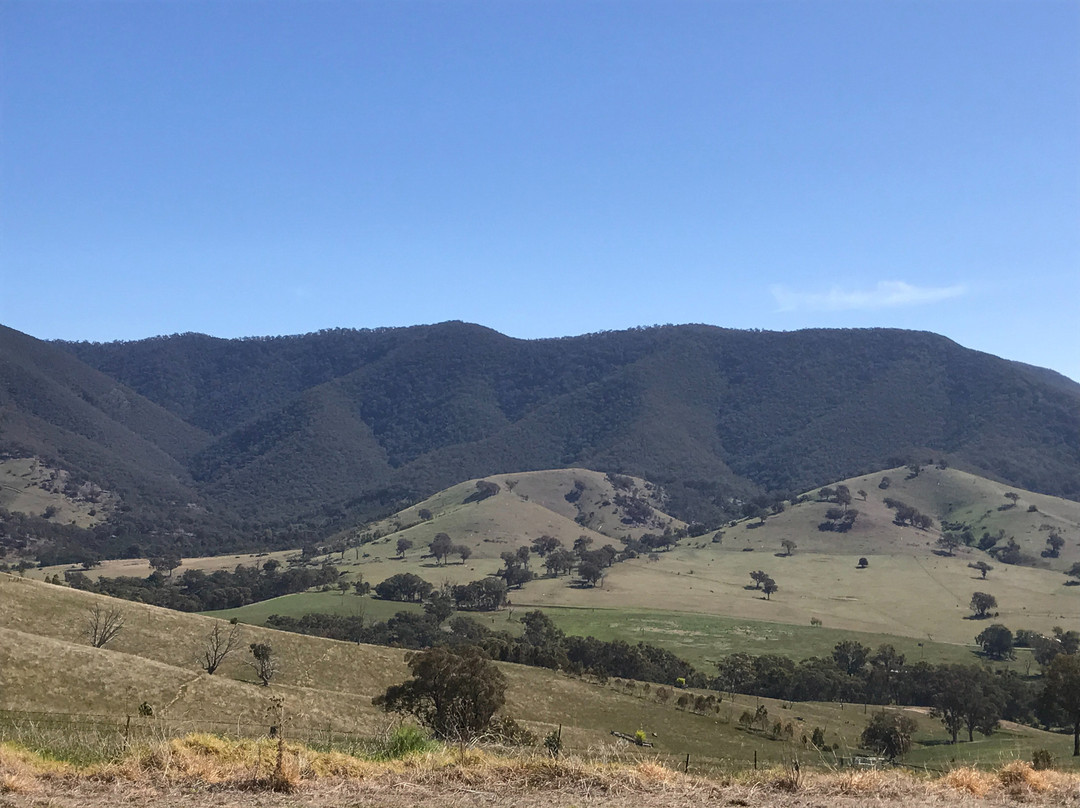 Stirling旅游景点-Connors Hill Lookout