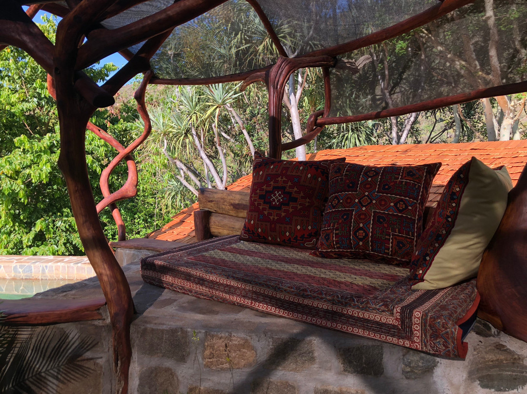 Desert Rose Kenya主图