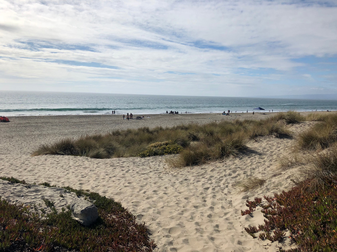 Palm Beach State Park-沃森维尔必去景点