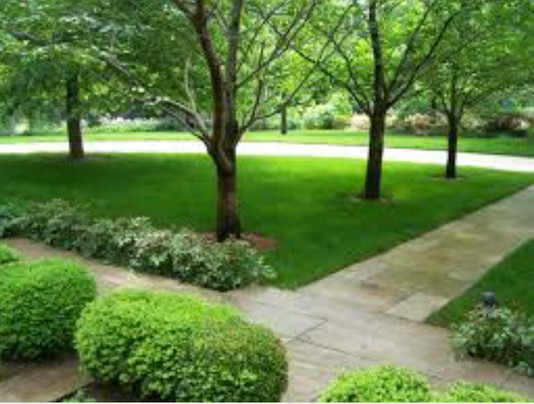 Silverback-Ruhengeri必去景点