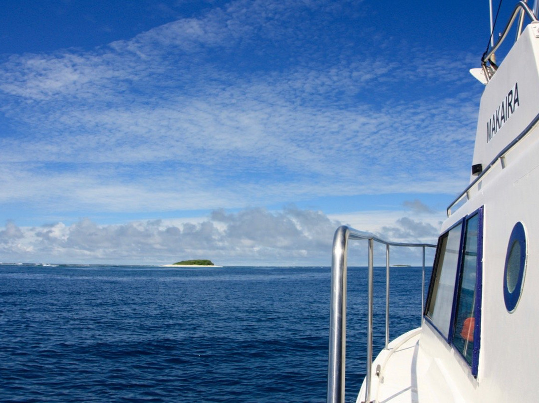 Dive Tonga景点图片