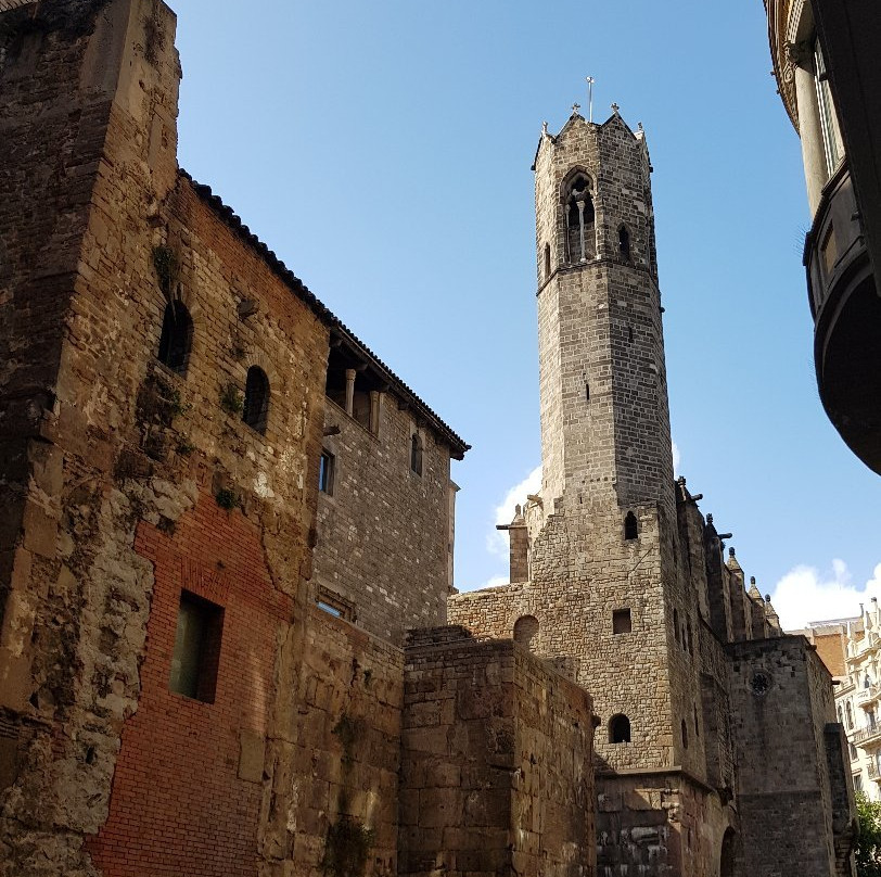 Palau Reial Major景点图片