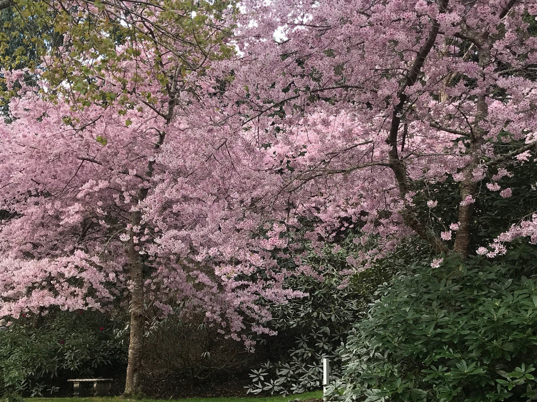 Aston Norwood Gardens景点图片