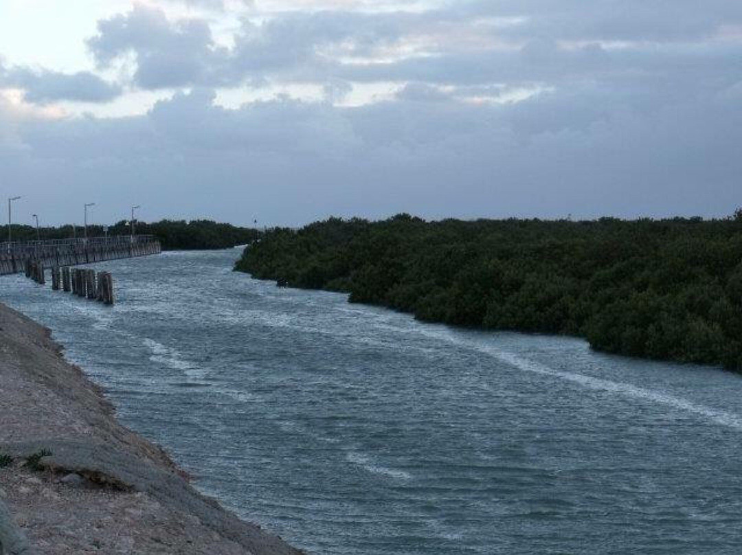 Port Wakefield Tidal Pool景点图片
