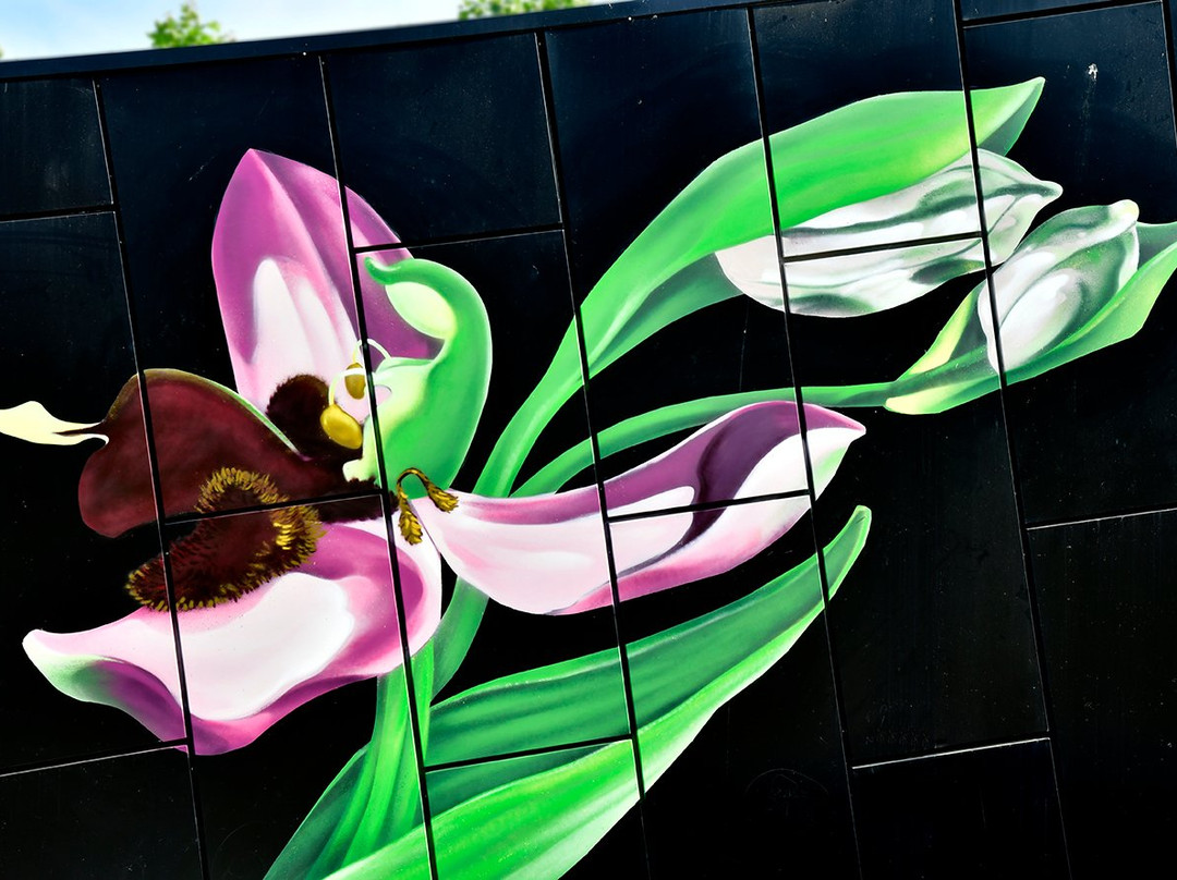 Centro de Interpretacion de la Orquidea Orchydarium景点图片