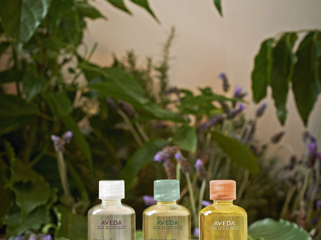 Bodhi Tree Spa-坎莫尔必去景点