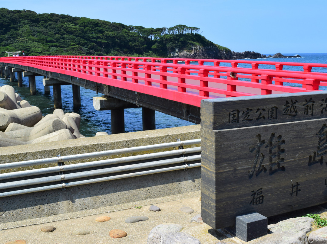 Oshima Island景点图片