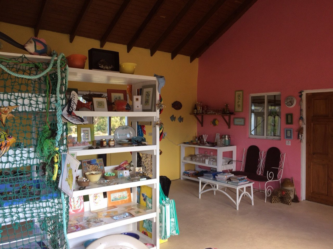 Artcafe-巴布达必去景点