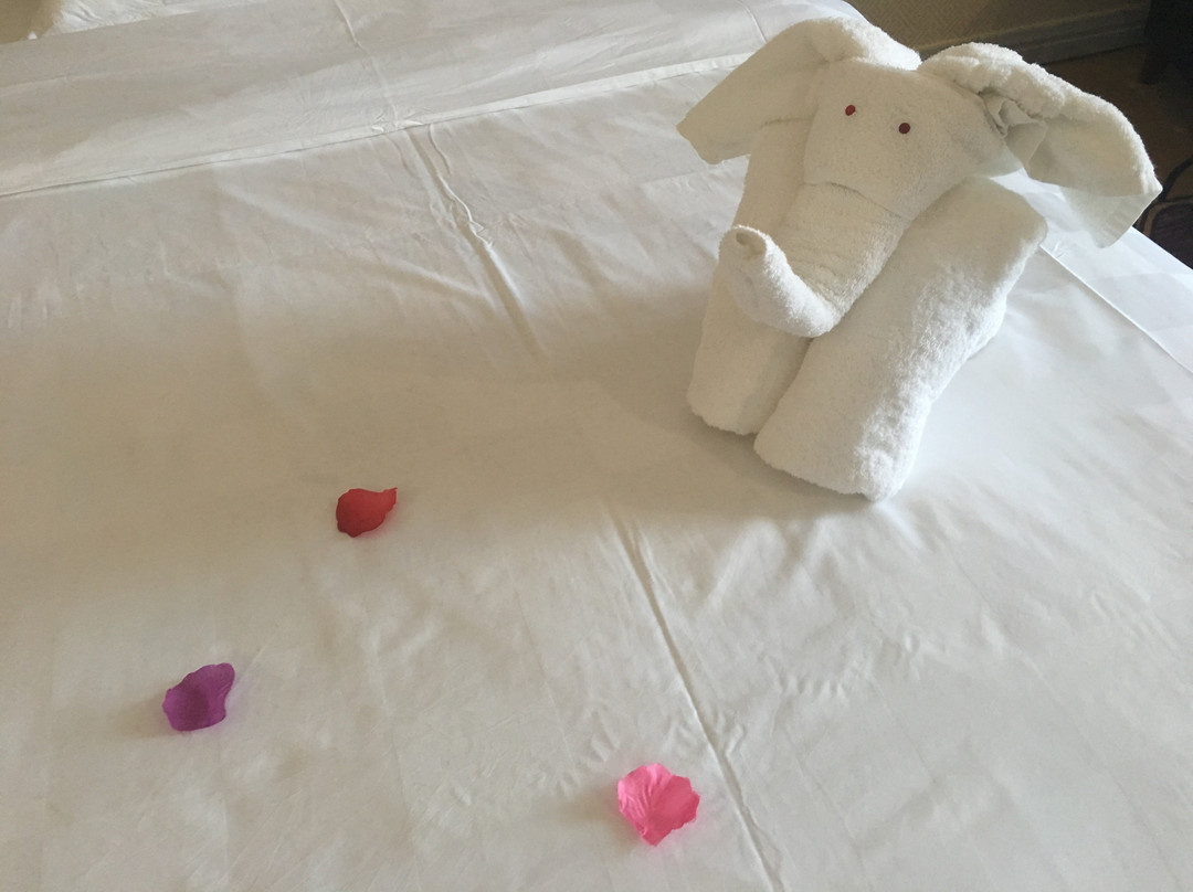 崇福国际大酒店主图