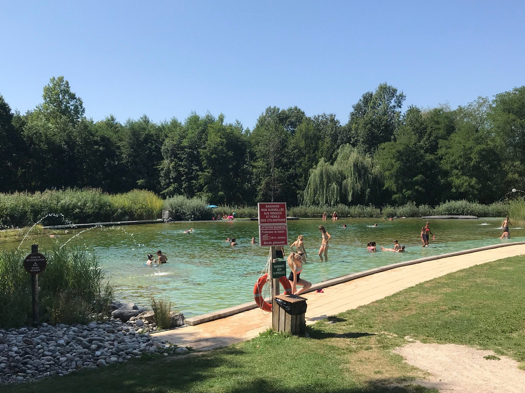 Piscine Naturelle-La Chapelle-Saint-Sauveur必去景点