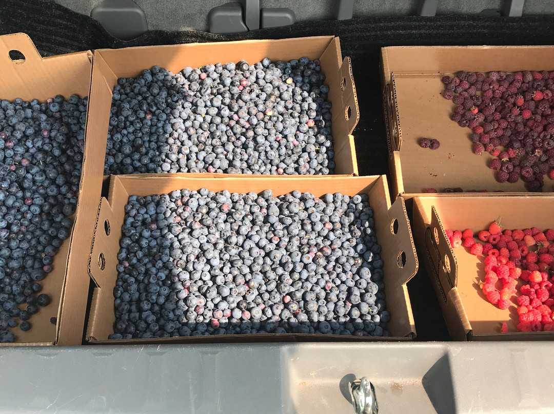 Highland Valley Farm-Bayfield必去景点