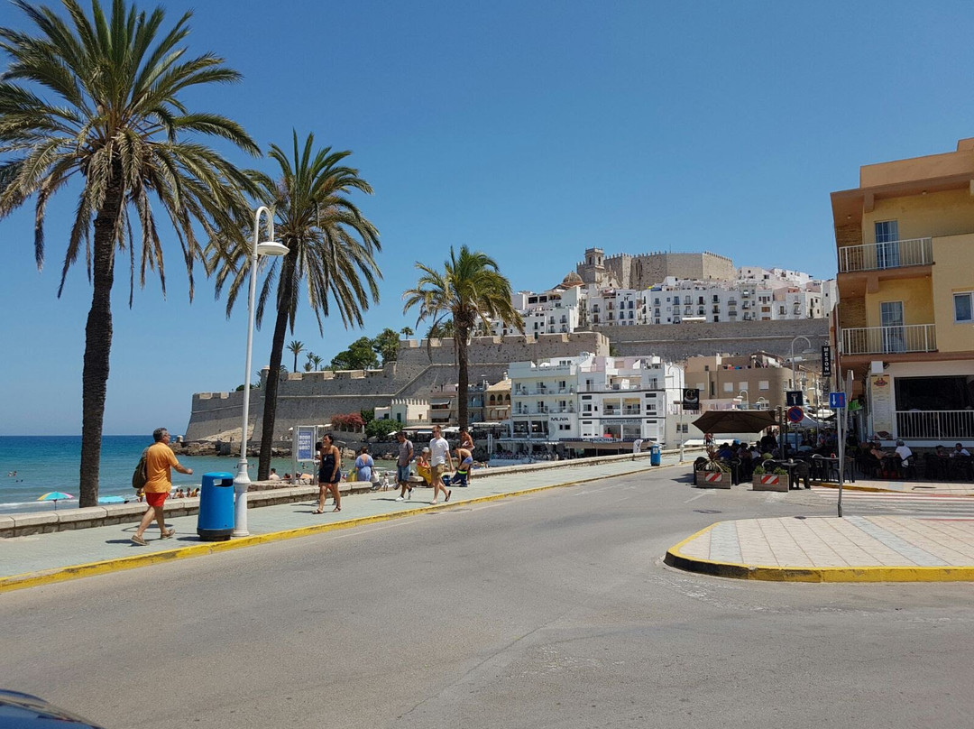 Taronja Spanish School-巴伦西亚必去景点