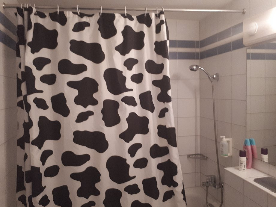 斯特尼图酒店主图