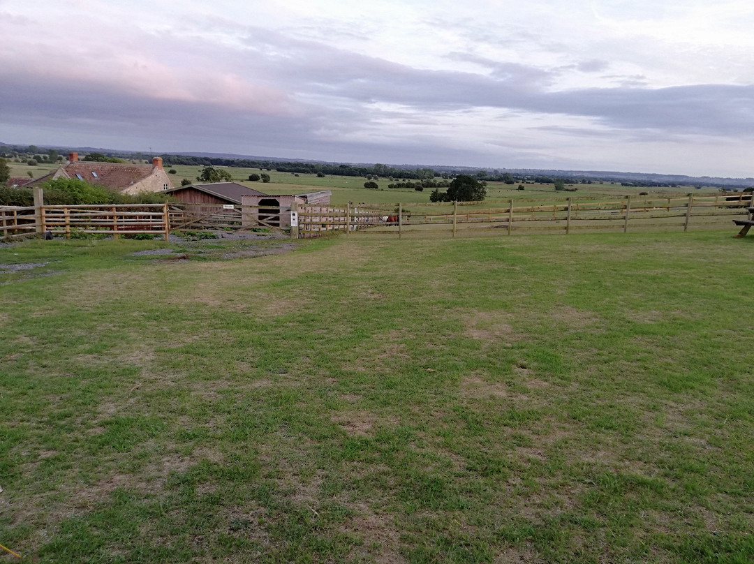 Castle farm campsite