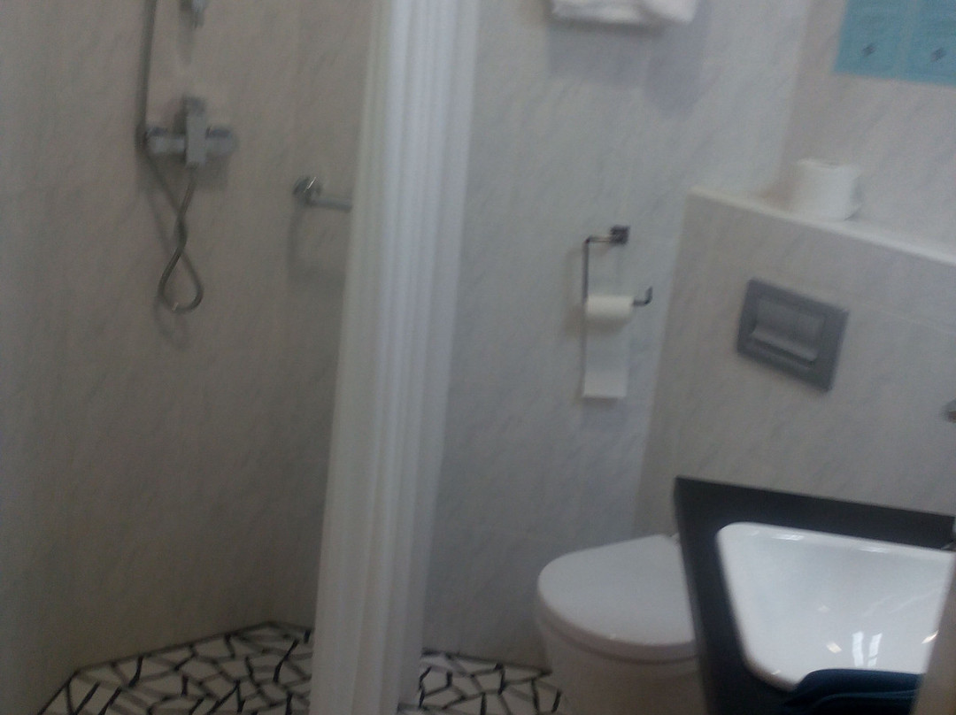 Hotel Le National主图