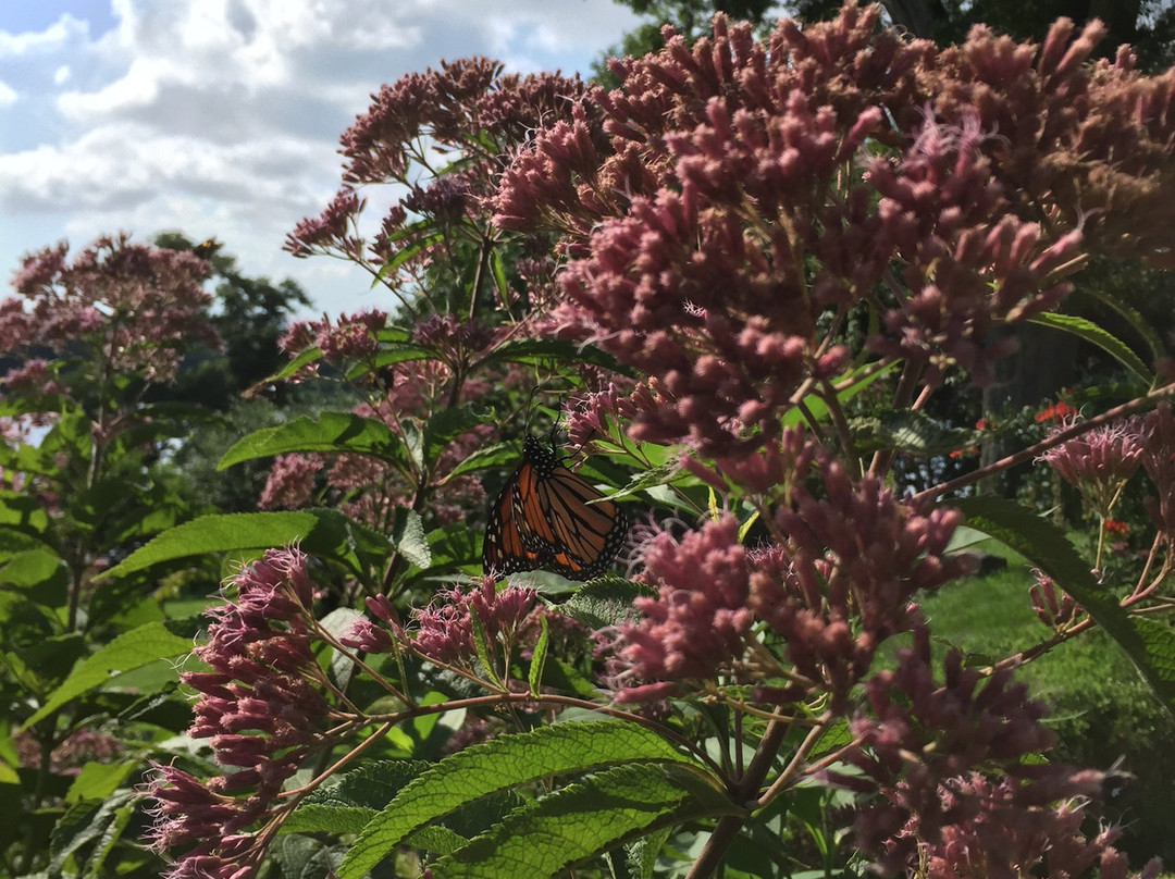 Cedarmere-Roslyn必去景点