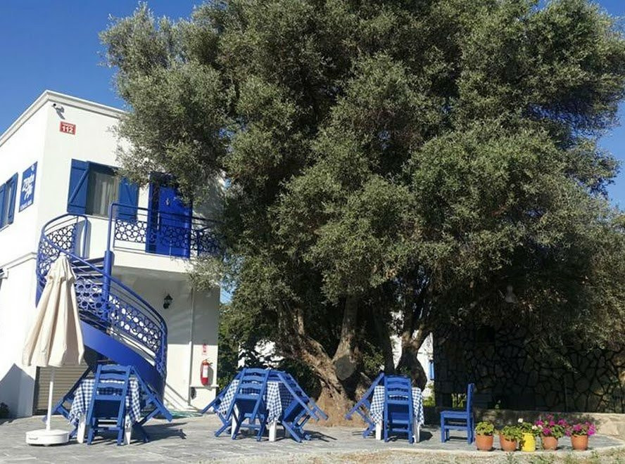 Zeytinalti Konaklama