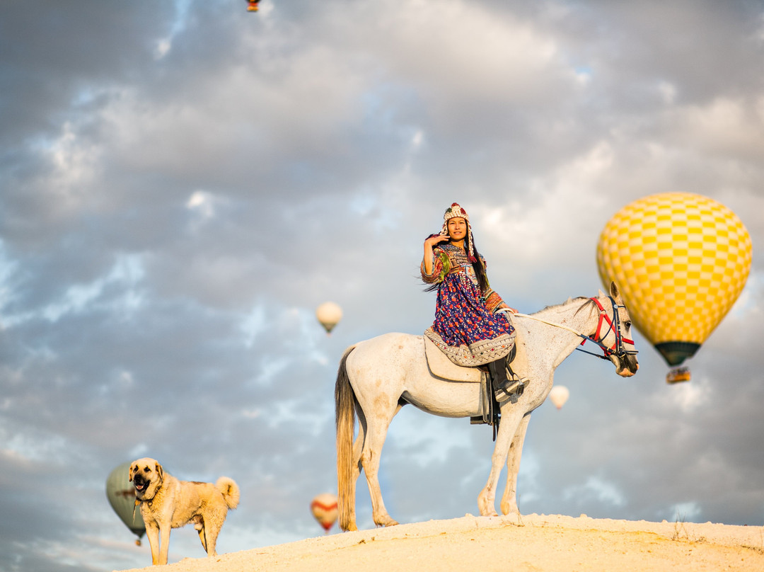 Moonlight Horse Ranch景点图片
