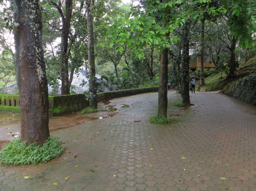 Vythiri Village Resort主图