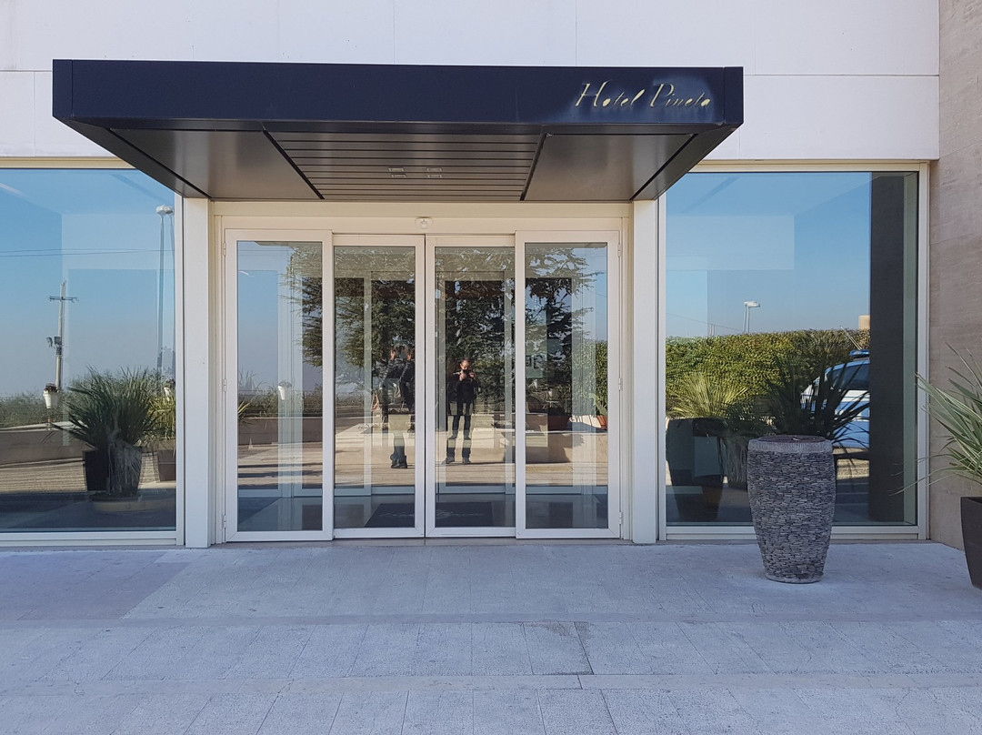 Hotel Pineta主图