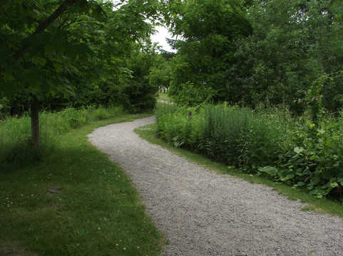 波士顿自然中心-波士顿必去景点