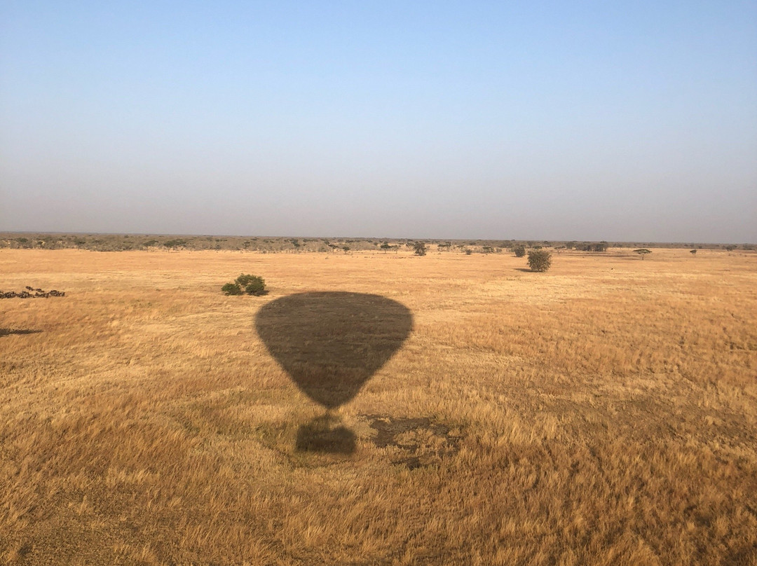 Serengeti Balloon Safaris-鲁阿哈国家公园必去景点
