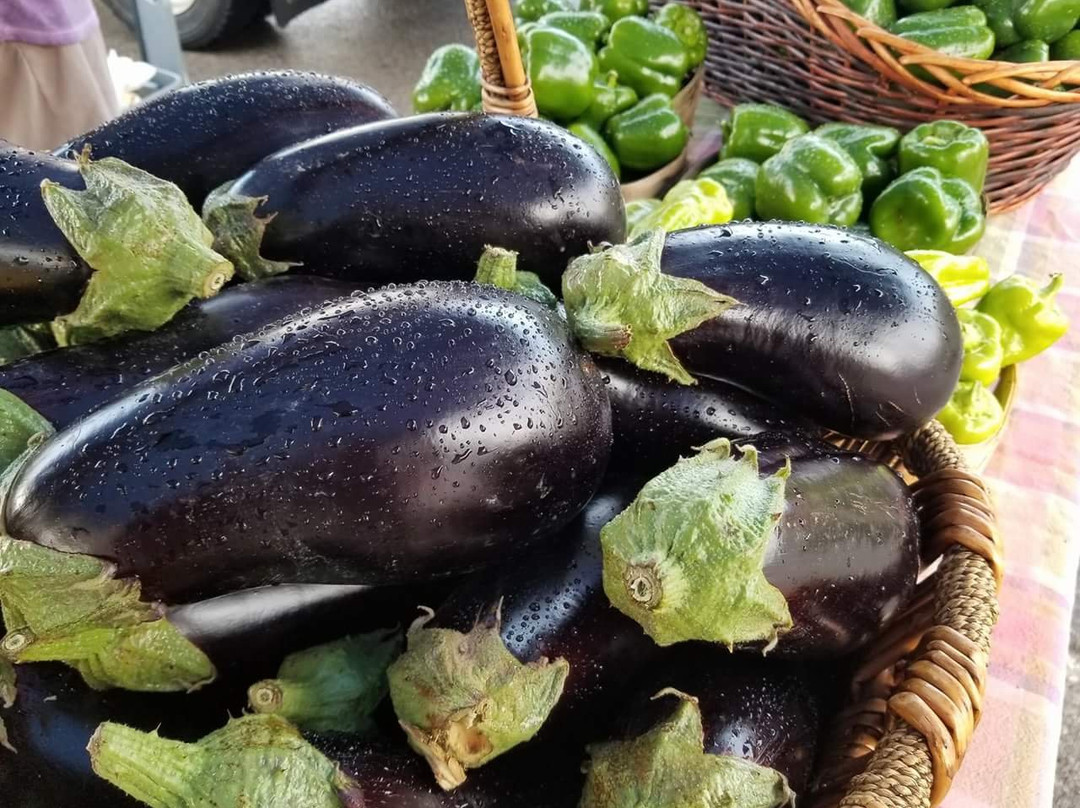 Hamburg Farmers' Market-Hamburg必去景点