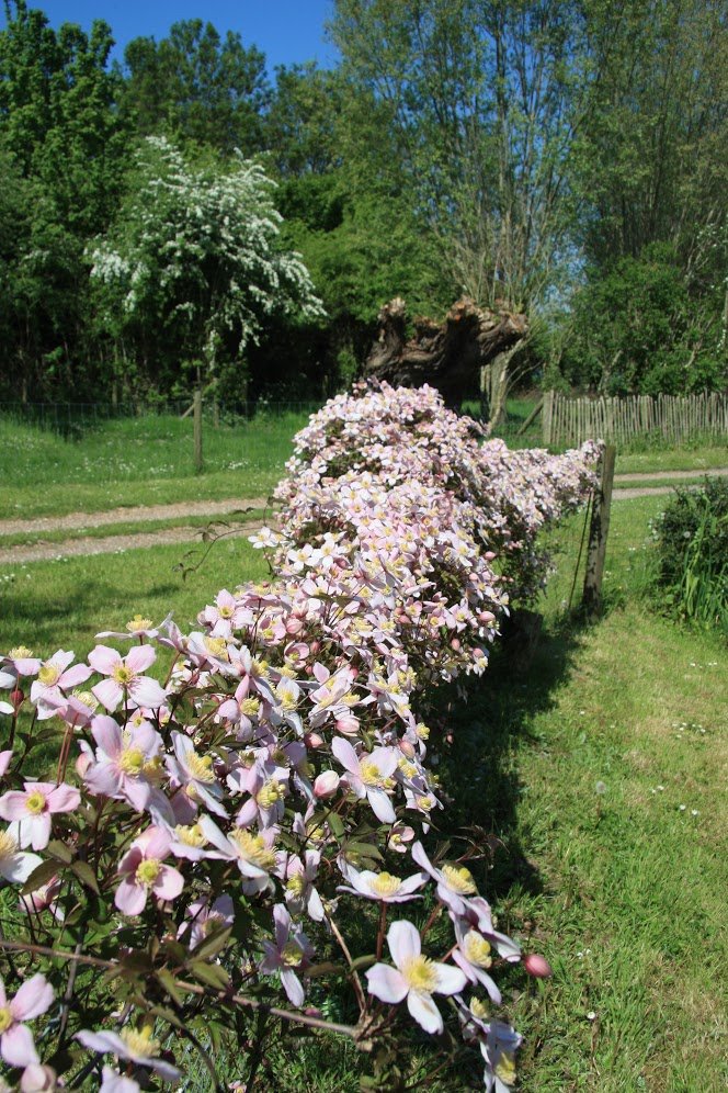 Oud Moeshof-官方