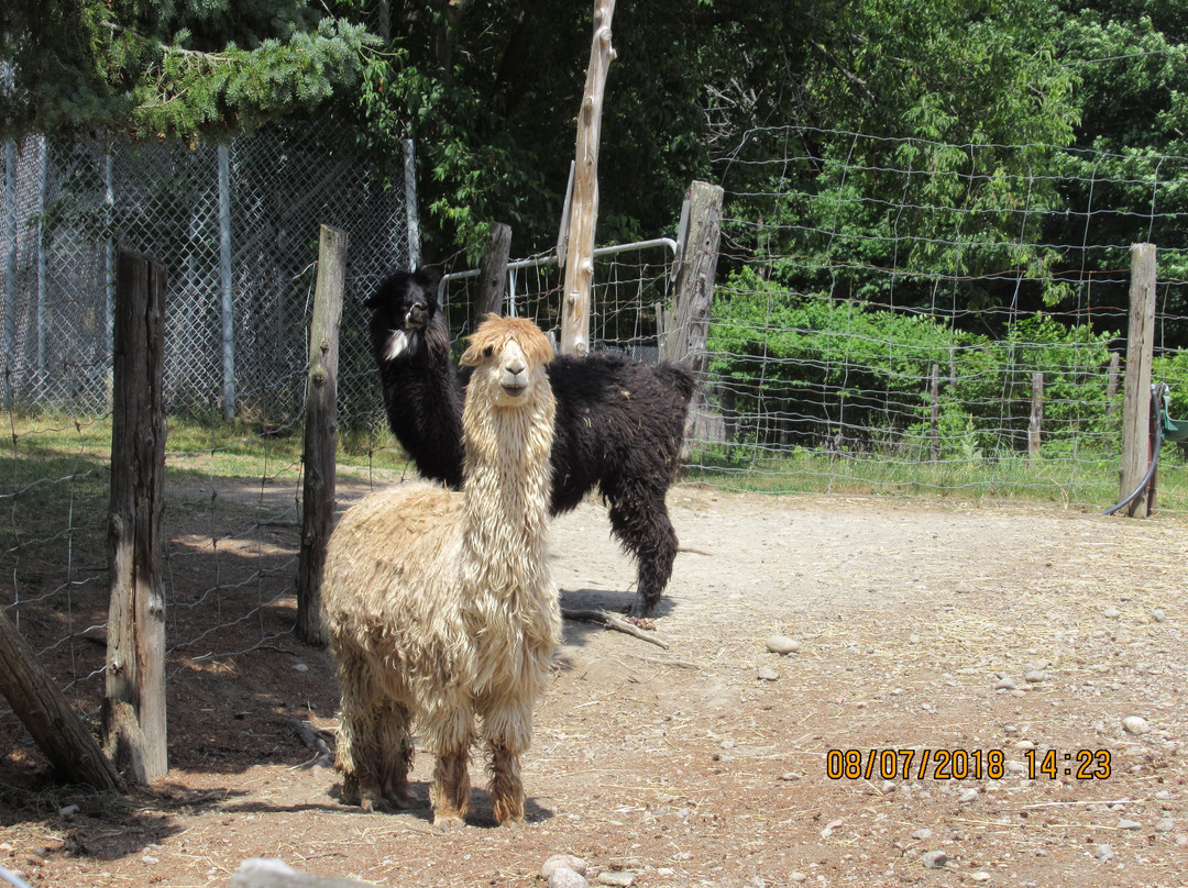 Zoo Animalia-Saint-Edouard-de-Maskinonge必去景点