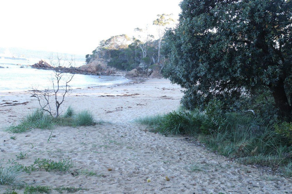 Cocora Beach-伊登港必去景点