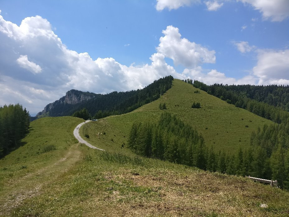 弗拉尼茨泰夏姆餐馆和美食-Tyrnaueralm