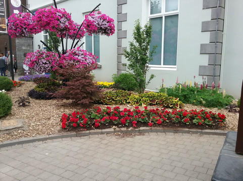 Ennis Walking Tours-恩尼斯必去景点