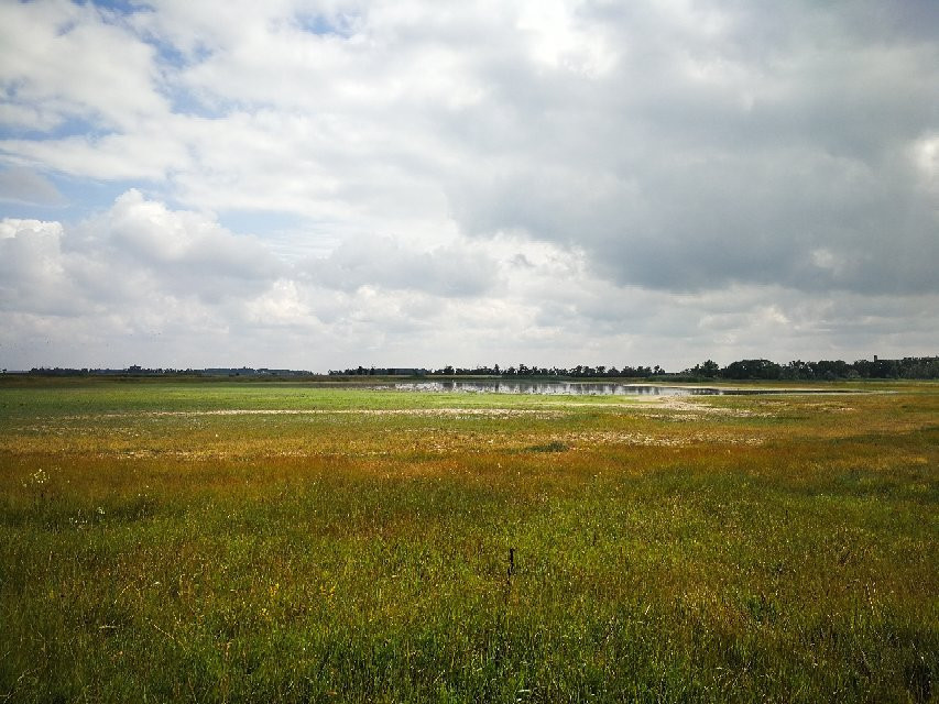 Nationalpark Neusiedler See – Seewinkel景点图片