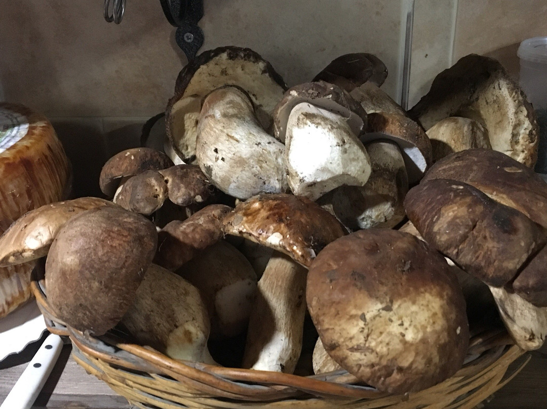 Sovereto餐馆和美食-Pizzeria Da Marchino