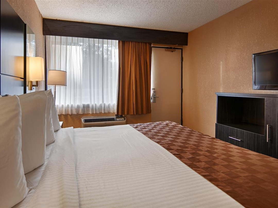 Best Western Executive Inn主图