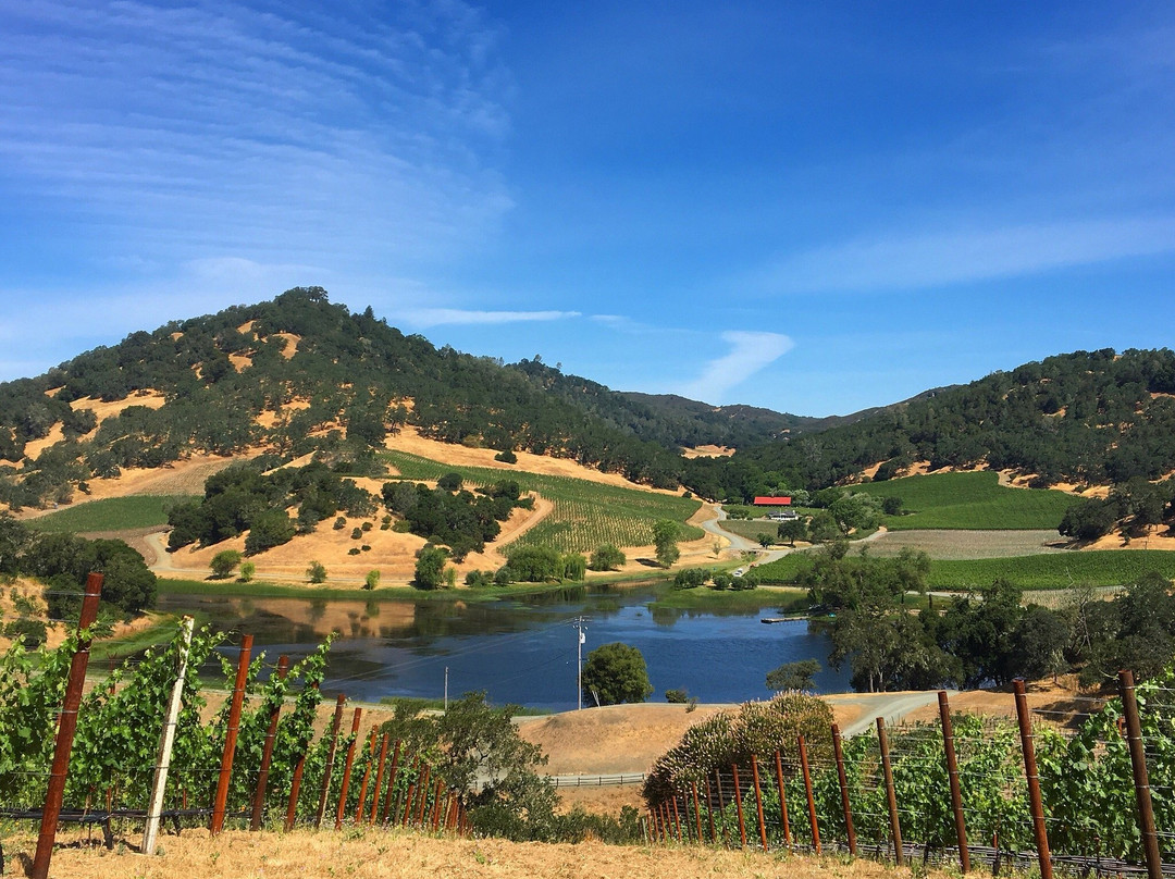 Somerston Estate-圣海伦娜必去景点