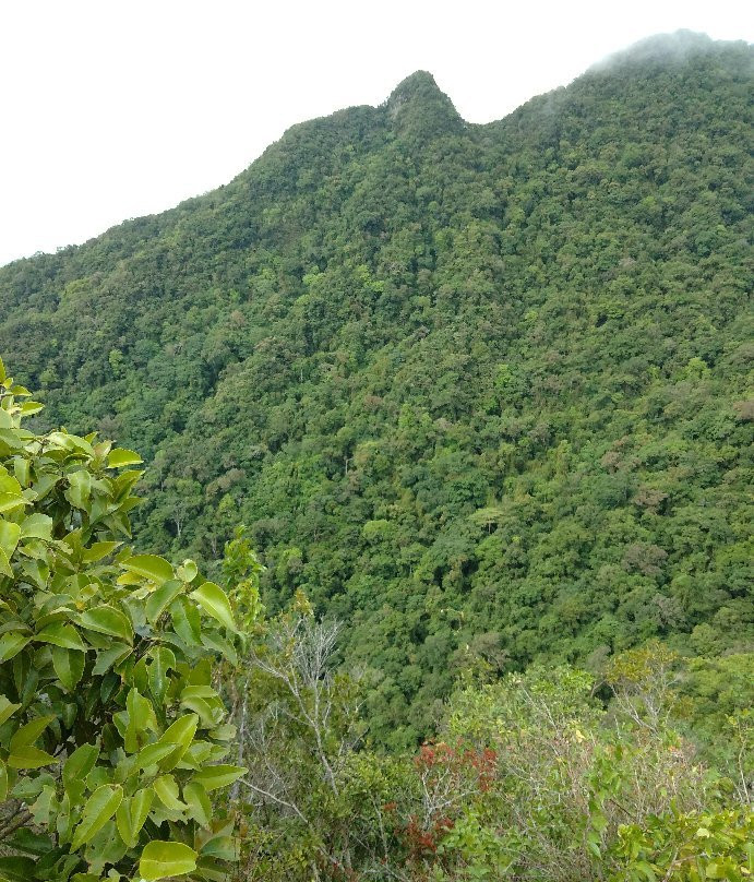 Mount Arayat National Park景点图片